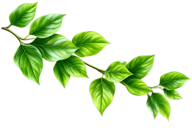 Decorative Leaf