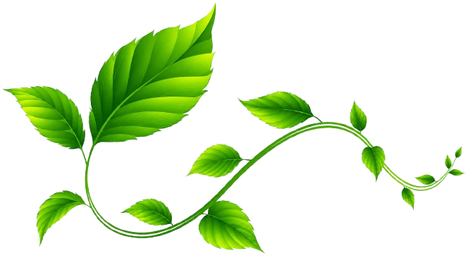 Decorative Leaf